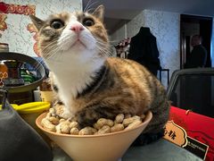 -新荟城(望京店)