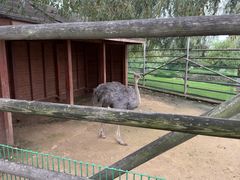 -羊亭河湿地公园