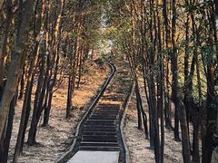 -火炉山森林公园