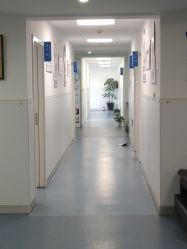 -温州伯思立医院