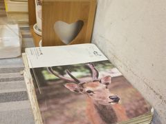 餐具摆设-万能料理屋(钟鼓岭路店)