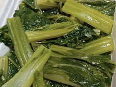 油麦菜-813芭依珊 BAESAn(皇冠十畝地店)