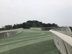 -飞凤山奥体公园