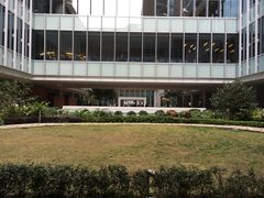 -香港大学