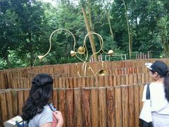 -南宁良凤江国家森林公园