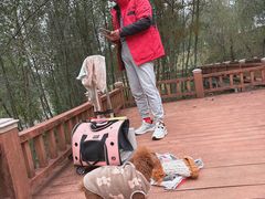 -四季轩中餐厅(徐州开元名都大酒店)