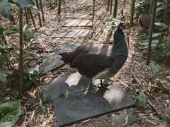 -苏州环秀晓筑养生度假村