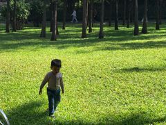 -晓港公园