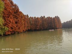 -上海海湾国家森林公园