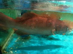 -学府海鲜批发市场