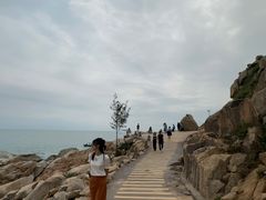 -广东惠东海龟国家级自然保护区