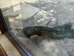 -宁波九龙湖开元度假村