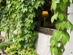 -斯多格书乡(北京大学畅春园店)