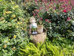 -人民公园(罗湖区)