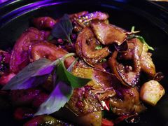 -蝴蝶汇音乐酒馆(罗湖店)