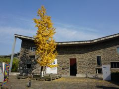 -中国美术学院象山校区-民艺博物馆