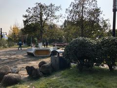 -运河游船(武林门码头)