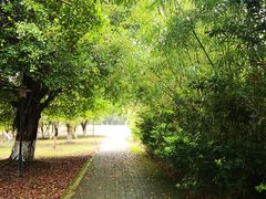 -福州大学(旗山校区)