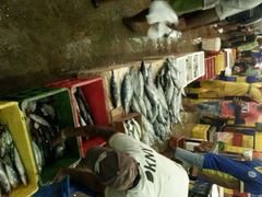 android_upload_pic-尼甘布海鲜市场