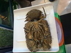 旅南活海鮮-旅南活海鲜-屏东(墾丁海鮮，海鮮餐廳，墾丁團體合菜，平價熱炒，墾丁熱炒店，活海鮮推薦，在地海鮮餐廳)