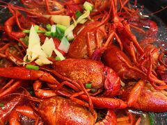 清水龙虾-香满锅老北京羊蝎子火锅·家常菜(新街口店)