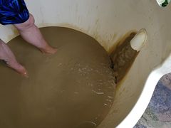 -100蛋泥浆浴
