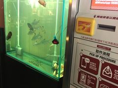 大堂-红茶馆(油麻地店)