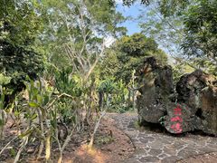 -海口火山口国家地质公园