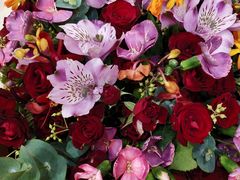 -九重天大饭店(北大街店)