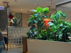 -悦海·家宴·冰花皮皮虾大锅贴(宝龙店)