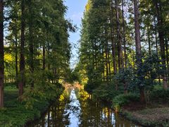 -黄海国家森林公园