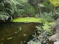 -幕燕滨江·长江观音景区