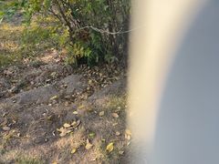 -伍山石窟