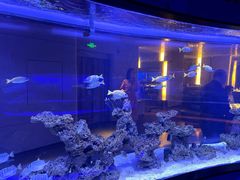 -上和臻品中国菜(花园街店)