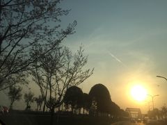 -Bco豆库(星耀天地店)