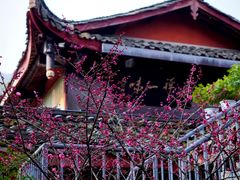 -峨眉山报国寺