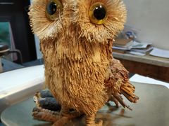 -梵几(东信·和创园店)