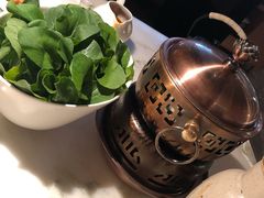 水煮鸡毛菜-初蓉丨遇见新川菜(亲贤街荣耀店)