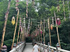 -西双版纳原始森林公园