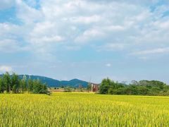 -良渚古城遗址公园