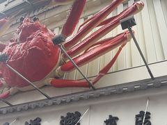 -蟹道乐(道顿堀本店)