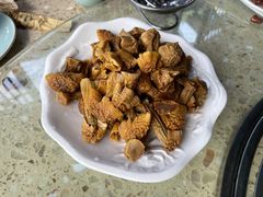 -先机泉水鸡汤(南山老君洞店)