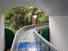 -南丹山森林王国