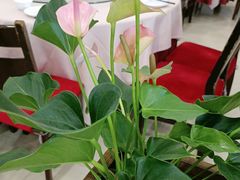 -鼎好家常菜(天桥店)