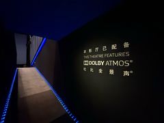 -奥斯卡升龙国际影城(RealD Cinema)