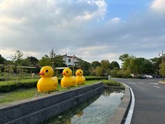 -苏州湾·王焰温泉