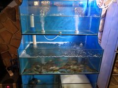 水产区-Thai Basil罗勒叶泰式餐厅(时代天街店)