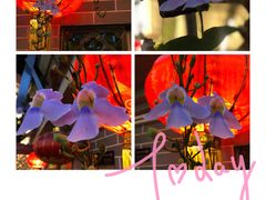 -水乡人家私房菜(逢简店)