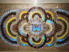 -上海昆虫博物馆