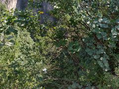 -重庆云阳龙缸景区